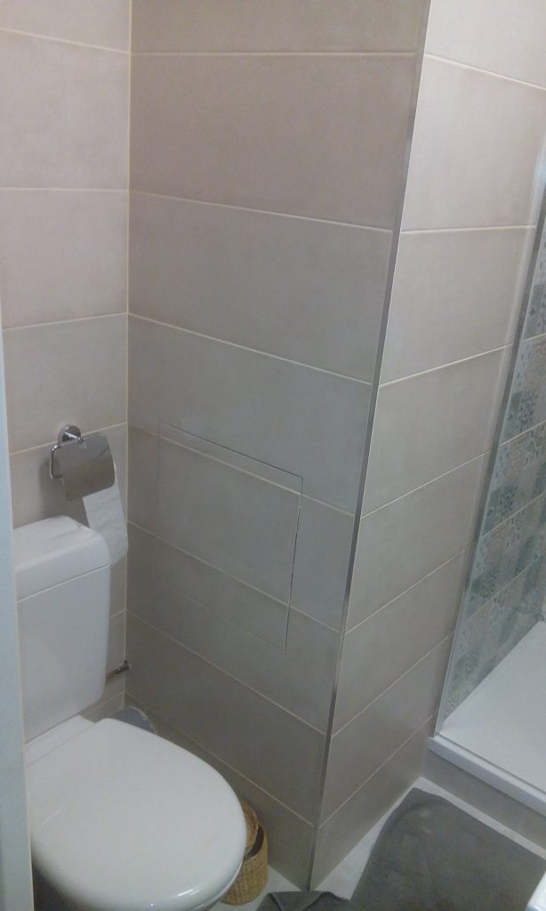 Remplacement toilettes