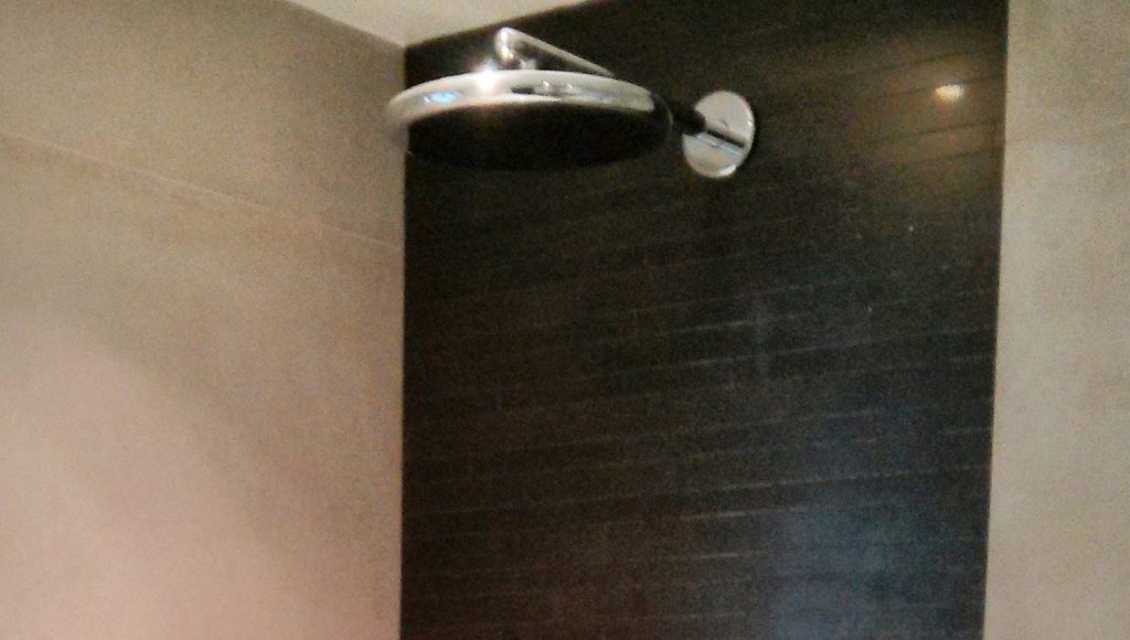 Tête de douche